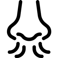 Custom icon