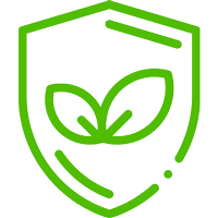 Custom icon
